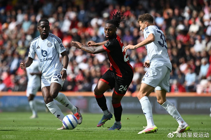 今晚两条热 今晚两条热