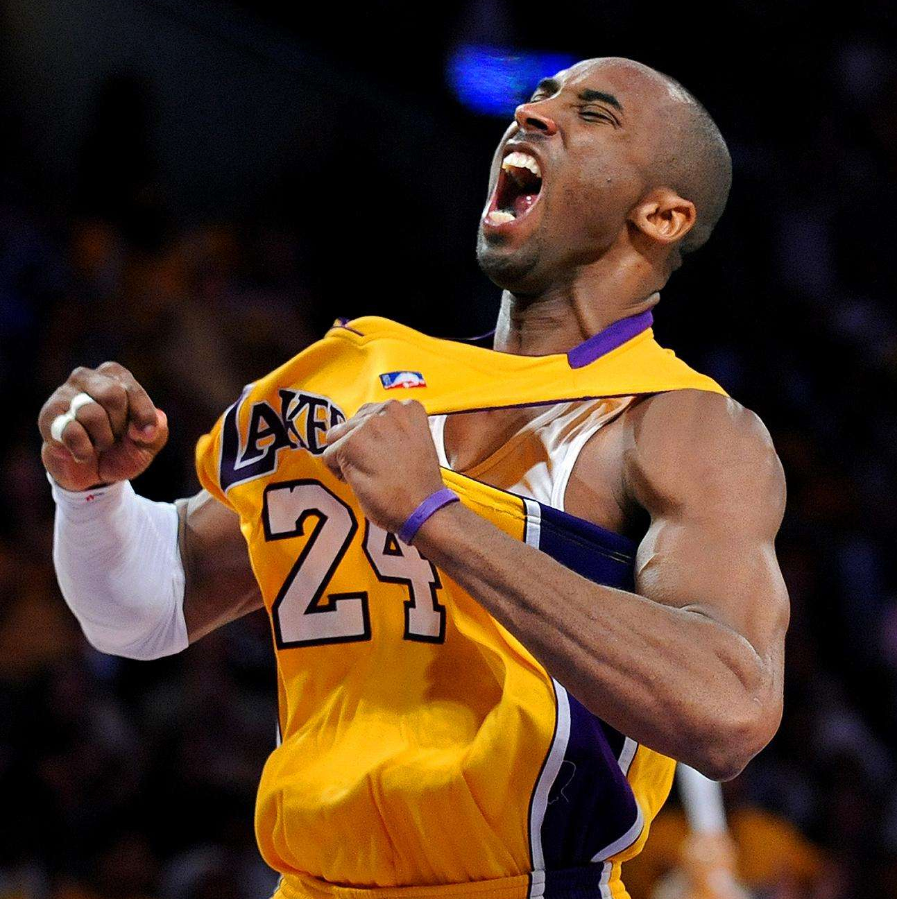 他人IL的 他人IL的