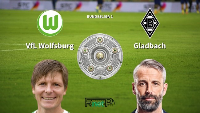 会好好分析 会好好分析